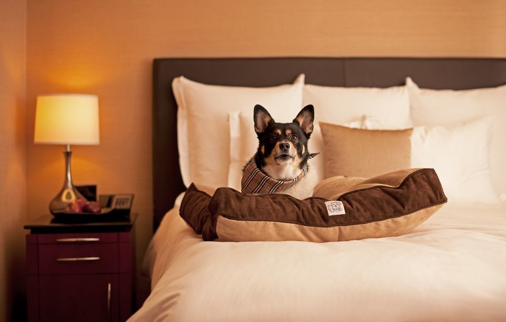 Hyatt Place Sterling Dulles Airport North المظهر الخارجي الصورة